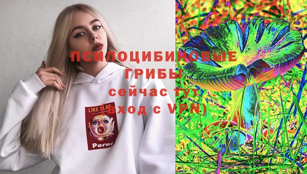 Альфа ПВП Новокубанск