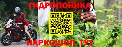 сатива Апшеронск