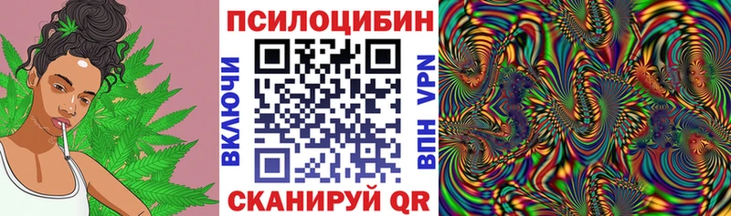 Галлюциногенные грибы MAGIC MUSHROOMS  Петровск 