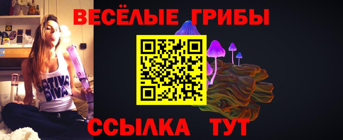 Псилоцибиновые грибы Psilocybe  где можно купить   Петровск  Вход с VPN 